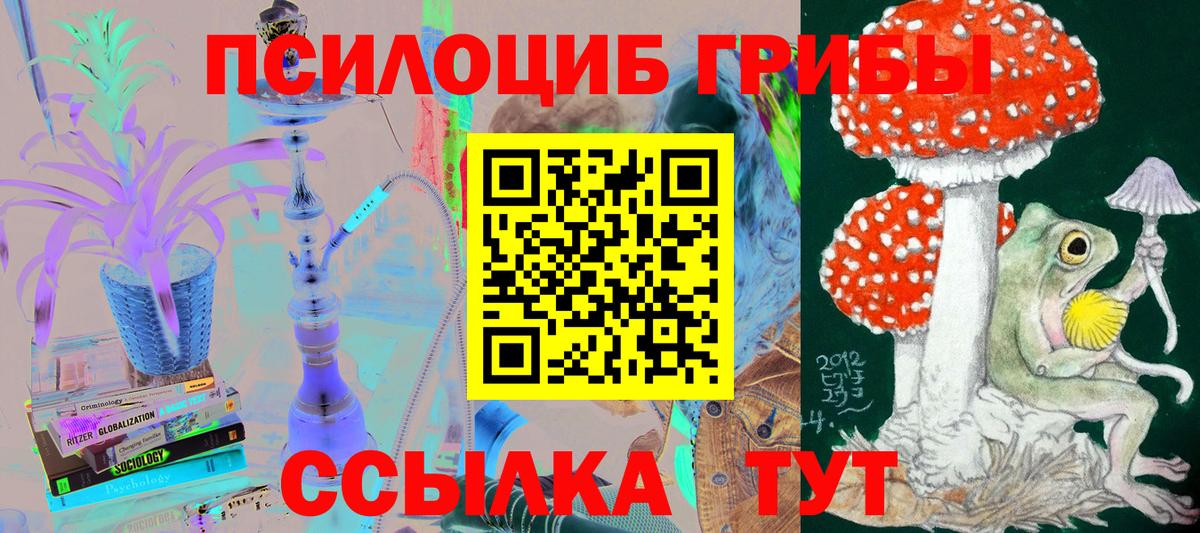 Галлюциногенные грибы MAGIC MUSHROOMS Гусь-Хрустальный