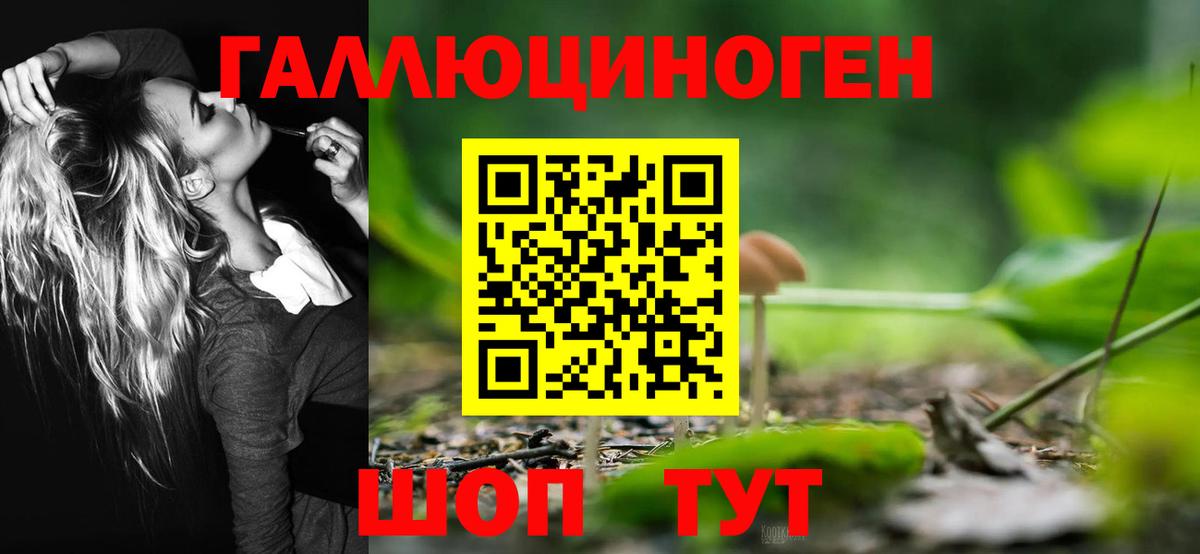 Галлюциногенные грибы Magic Shrooms  Вход с VPN  Гусь-Хрустальный 